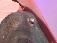 фото thumb №6, Chevrolet lacetti hb 5d 04-13 лампа задня ліва з кришки 31-1198l