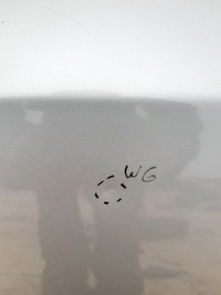 фото thumb №2, Дверь левый перед renault koleos tekxa