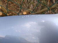 фото thumb №6, Audi a3 8p0 капот шумоизоляция lz7r