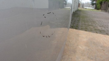 фото thumb №10, Задние левая дверь skoda octavia iii 5e0 5e5 sedan