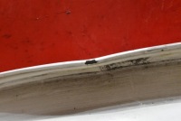 Капот кришка двигуна білий dacia dokker 1 1 рестайлінг  17-21 Київ, фото thumb