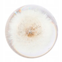 фото thumb №16, Ручка переключения передач с żywicy