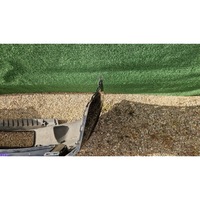 фото thumb №9, Volkswagen tiguan ii 5na рестайлінг 20- бампер зад задній