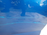 фото thumb №10, Skoda fabia iii 14- двері ліва перед передні