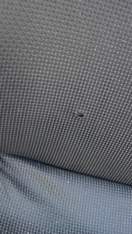 фото thumb №16, Сидіння заднє сидіння vw garbus