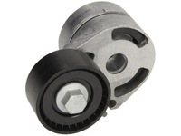 фото thumb №3, Натяжитель ремень многозубчастого ina 534018010