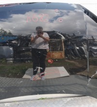 A682/a695 капот кришка двигуна audi q3 2 2 2018 Недорого, фото thumb