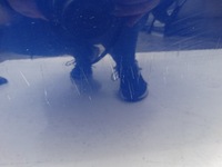 фото thumb №12, Двері opel vectra c хетчбек lift правий перед