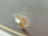 фото thumb №8, Потолок vivaro b легковой длинный renault trafic iii 2014-