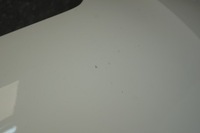 фото thumb №14, Капот крышка двигателя audi a5 8t ly9c