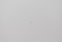 фото thumb №9, Дверь левая перед передние белый tesla model s lift 16-21