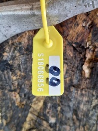 фото thumb №8, Трансмісія рейка рульова alfa romeo stelvio 505474520 europa