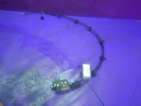 фото thumb №1, Ford b-max замок перед лівий av1a-r218d05-ad 2 pin