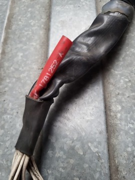 фото thumb №5, Установка жгут дверь правых scania r 1781252 2021121