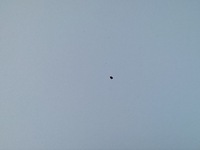 фото thumb №4, Kia venga 2010 - 2017 капот 2r