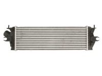 Nissens 96583 радиатор воздуха наддувочный Киев, фото thumb