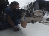 фото thumb №10, Ford c-max mk2 lift двері правий перед повний