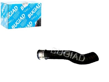 фото thumb №1, Шланг повітря наддувний [bugiad]