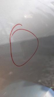 фото thumb №7, Двері задня задні ліва nissan primera p12 hb 03r