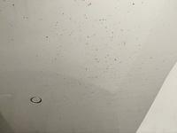 фото thumb №9, Бампер bmw 7 2016 с задний