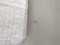 фото thumb №9, Kia optima 10-15 sedan потолок стеклянный крыша