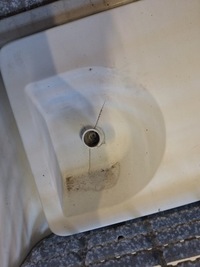 фото thumb №12, Підніжка ліва lub права renault magnum dxi