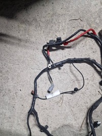 фото thumb №6, Жгут pdc перед ford mustang mach-e nj8t15k867