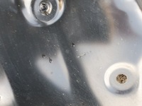 фото thumb №12, Обшивка блок двигуна крила праве задні bmw x2 f39 оригінальний номер