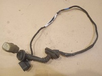 фото thumb №1, Жгут дверь левых задняя smart forfour i a4545402805