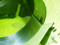 фото thumb №13, Блок двигуна audi a3 8p touran caddy passat b6 octavia 1.9 tdi bxe bkc