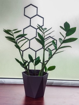 ПОДДЕРЖКА ДЛЯ ЦВЕТОВ PERGOLA HONEY XL 47см