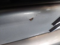 фото thumb №11, Kompletny задняя citroen berlingo i lift eylc крышка багажника багажника бампер задняя