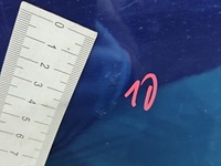 фото thumb №12, Двері скло задня ліва орні кватиркове fiat doblo ii 2 granatowy 487