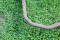 Гаситель задний / конечный / выхлоп lexus ux 2021 с Разборки, фото thumb