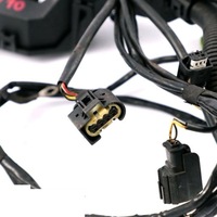 фото thumb №9, Mini r50 бензин w10 джгут двигуна 7533097