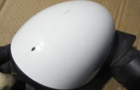 фото thumb №4, Mini cooper r56 дзеркало праве 5 pin europa