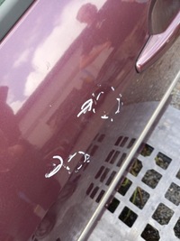 фото thumb №9, Дверь перед левая аксессуар peugeot 407 универсал 2.0 b