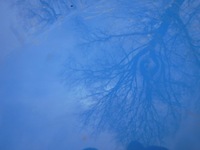 фото thumb №5, Renault kangoo 2 ii крыло левый перед передний