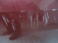 фото thumb №3, Дверь правый перед nissan primera p12 ax5