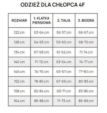 СПОРТИВНАЯ ФУТБОЛКА ДЕТСКАЯ 4F ДЛЯ МАЛЬЧИКОВ