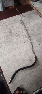 фото thumb №1, Шланг цилиндр сцепления renault laguna ii 8200023636