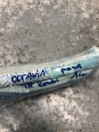 фото thumb №5, Шторка безопасности подушка безопасности правая skoda octavia iii vrs kombi 5e0880742