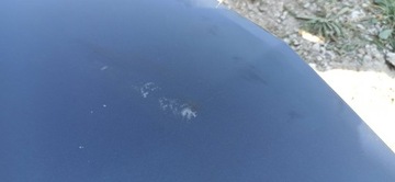 фото thumb №10, Капот opel astra iv j оригинальный лак z22a