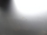 фото thumb №5, Дверь правый правое задняя задние audi a8 d2 ly7m