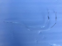 фото thumb №1, Волоконно-оптический кабель bmw x7 g07 full led laser дневные