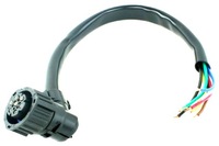 фото thumb №2, Джгут лампи fiat ducato 06 лівий задня fast