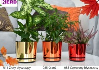 12 Ø цветочный горшок с блюдцем дизайн GOLD ANTIQUE деревенский старинный классический