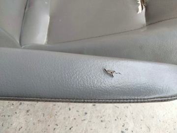 фото thumb №5, Сиденье водителя подлокотник кожа vw t5