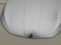 фото thumb №9, Skoda scala 19- капот