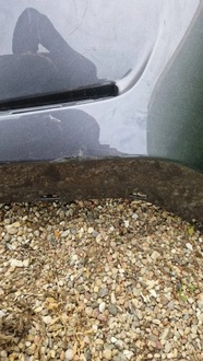 фото thumb №7, Toyota yaris cross 20- бампер задняя задний 52159-0db40